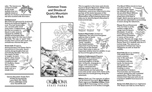 Common Tree & Shrub Guide